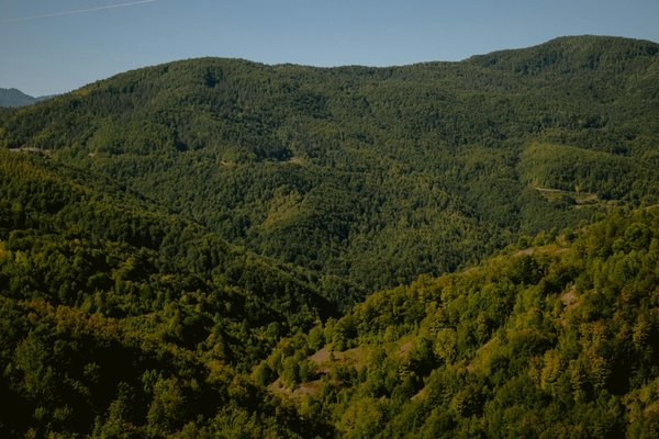 Téléphone rose : une écoute bienveillante pour femmes mûres
